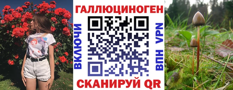 Купить где Кирово-Чепецк Псилоцибиновые грибы Cubensis